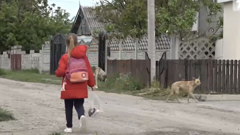 Locuitorii din Hâncești, în alertă: Cinci persoane, mușcate de câini