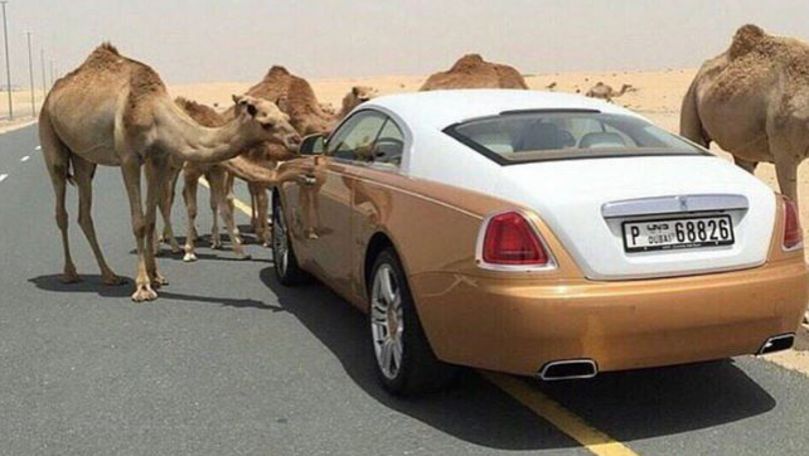 10 lucruri extrem de scumpe pe care și le permit milionarii din Dubai