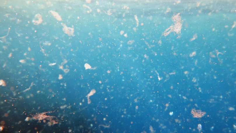 Studiu: Poluarea cu microplastic din oceane este cu mult mai gravă