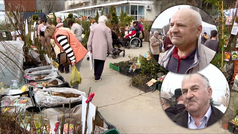 A început sezonul plantărilor: Ce flori și copaci aleg oamenii