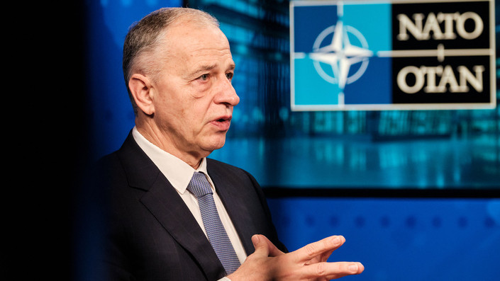 Заместитель Генерального секретаря НАТО Мирча Джоанэ.