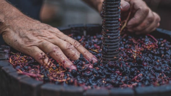 Procesul de fermentare a vinului poate prezenta pericol: Îndemnul IGSU