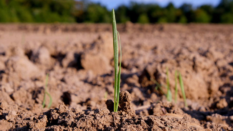 Dacă străinii ar deține terenuri agricole, ar controla 15% din suprafeţe