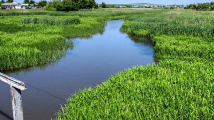 В Дрокиевском районе 4-летний мальчик утонул в речке.