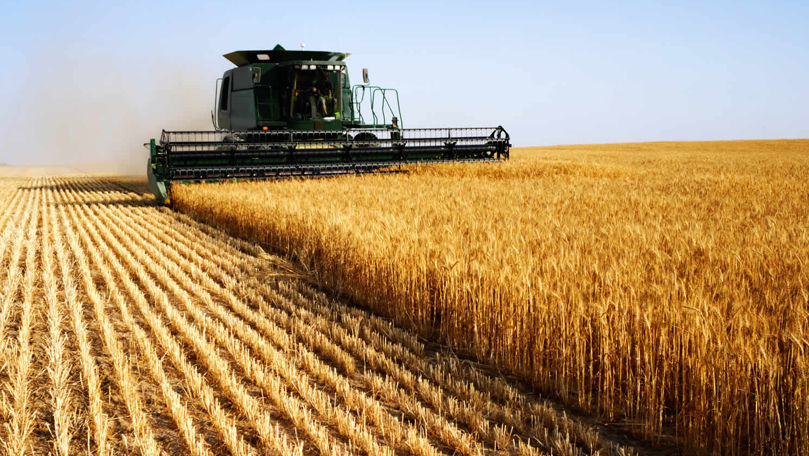 Фонд дотаций почти пуст, а выплата субсидий за 2023 год еще не началась.