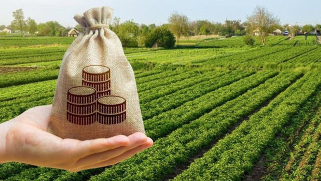 Peste 100 de agricultori din țară au fost susținuți prin proiectele IFAD
