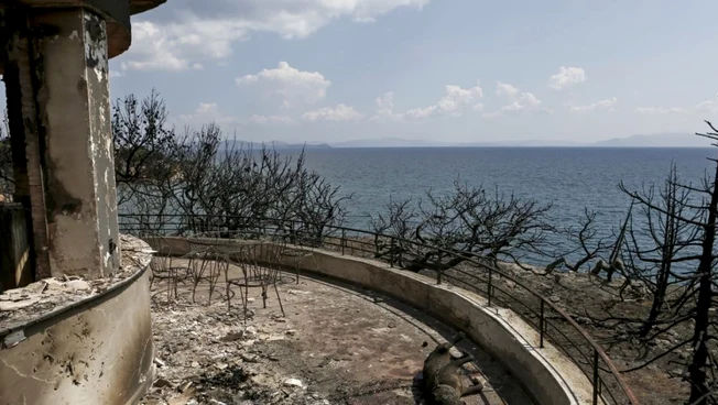 Grecia: 10 persoane, găsite vinovate de incendiul de vegetație din 2018