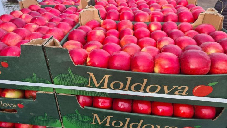 Republica Moldova câștigă teren pe piața merelor din România