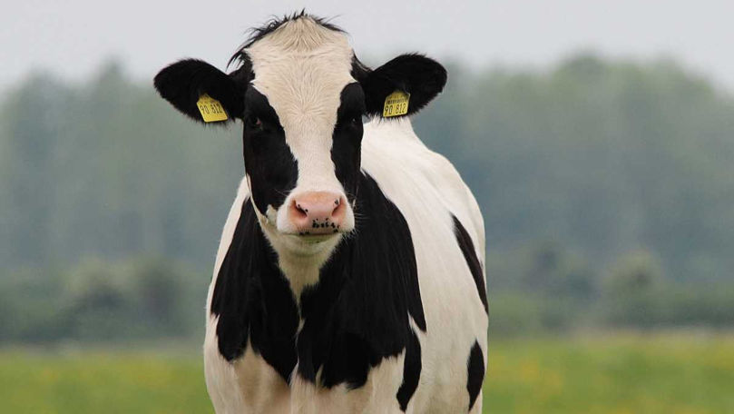 Fermierii pot solicita sprijin financiar începând de astăzi