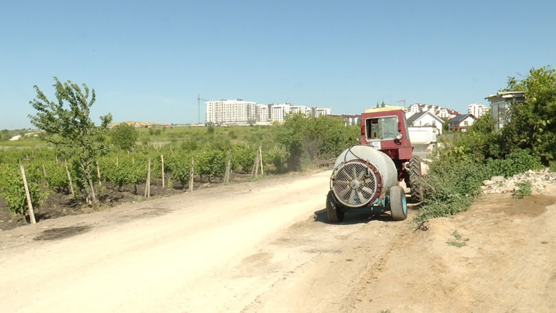 Viile din Durlești, afectate de praful de pe un drum aflat în reparație