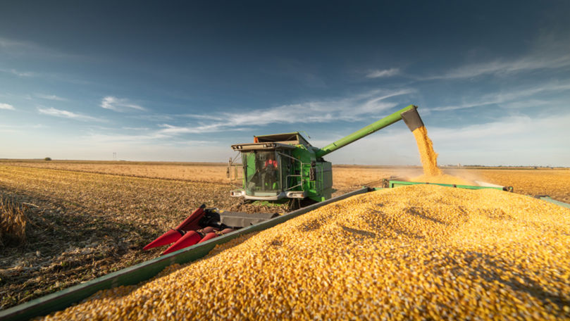 Фермеры жалуются, что отпускная цена зерна очень низкая.