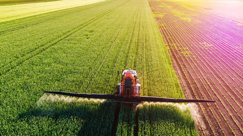 За первые три месяца года сельскохозяйственное производство сократилось.