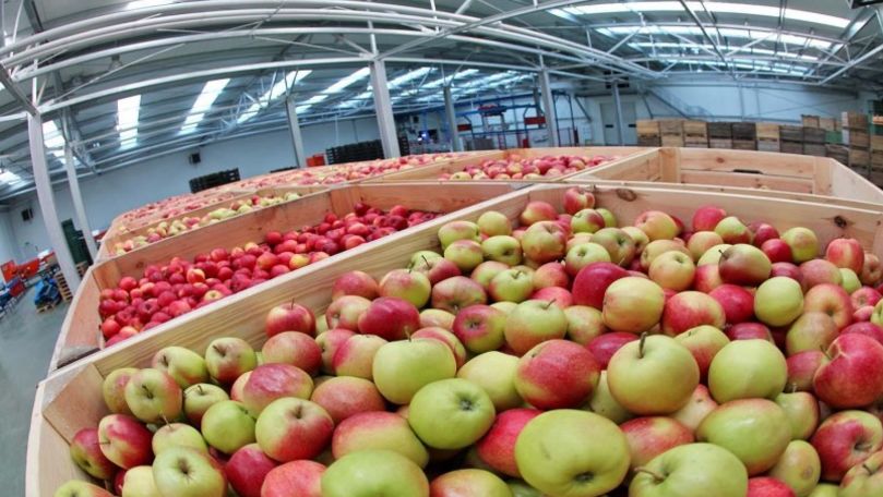 Бюджет двух грантовых линий для молдавских аграриев в рамках этого этапа проекта составит почти $8 миллионов.