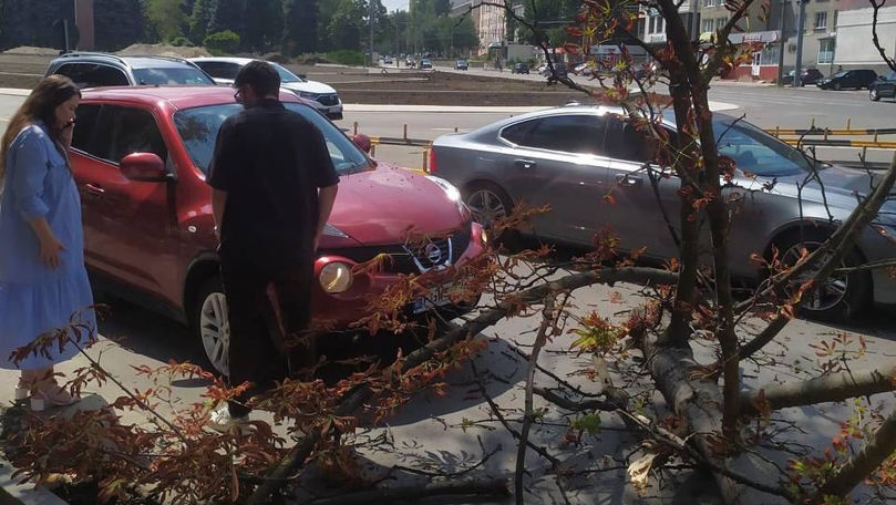 O creangă uriașă a căzut peste un automobil din Chișinău