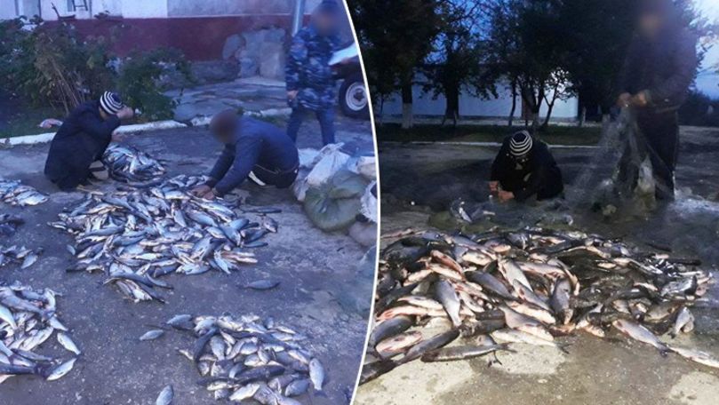 200 kg de pește, prins ilegal în apele lacului Manta