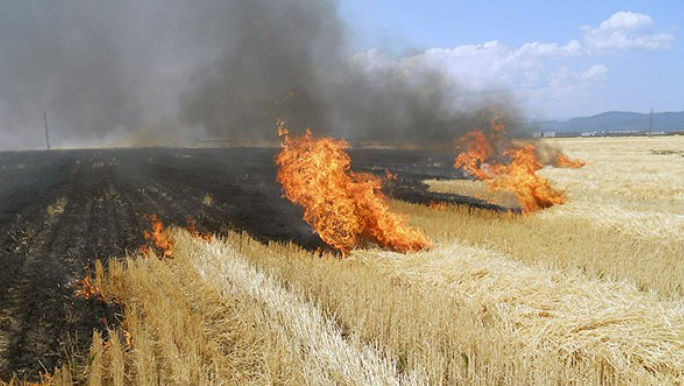 Alertă meteo: Cod Galben de pericol de incendiu în toată țara