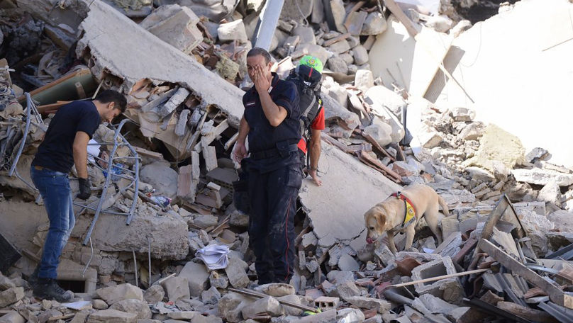 Turcia: Câine, salvat de sub dărâmături după 23 de zile de la cutremur