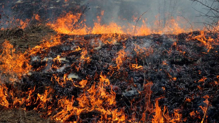 Incendiu la Orhei: Sute de hectare de vegetație, distruse de flăcări