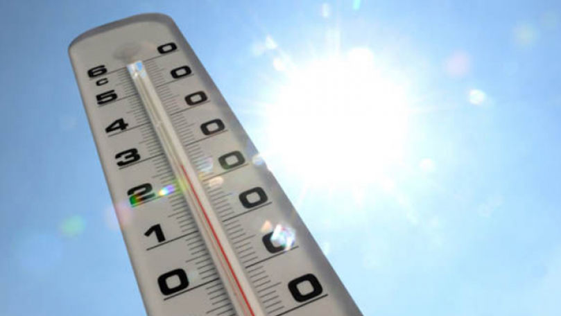 Centrul de Prognoze Meteorologice: Cea mai caldă iarnă