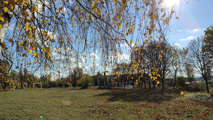 После утренних туманов во вторник жителей Молдовы ожидает солнечный день.