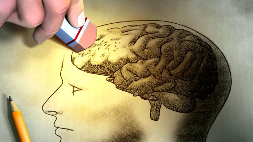 Cum se concentrează creierul pentru a activa memoria de lucru