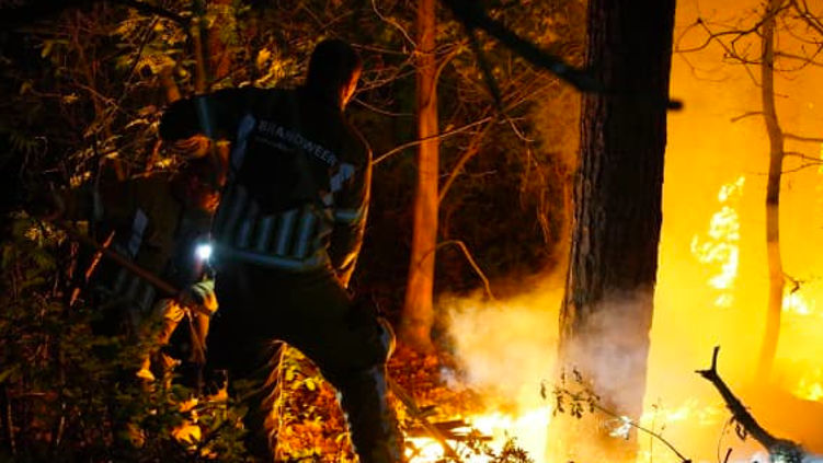 В Нидерландах за два дня возникли пожары на трех военных полигонах.