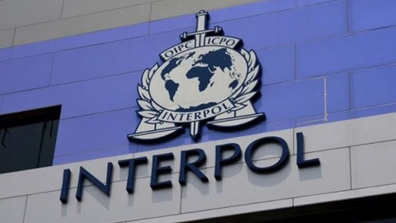 Un expert va veni în Moldova pentru a evalua activitatea BNC Interpol