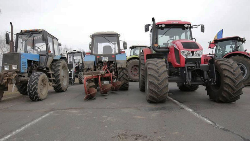 Структурный дефицит: сельское хозяйство Молдовы потеряло 40% кадров за два года.