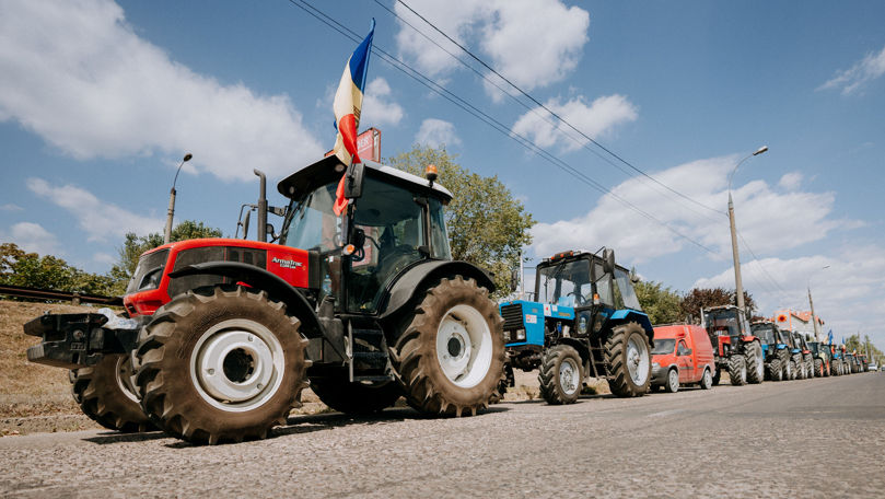 Fermieri: Guvernul ignoră intenționat producătorii de cultură mare