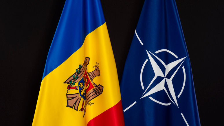 Programul Individual de Parteneriat Moldova - NATO, aprobat de Guvern