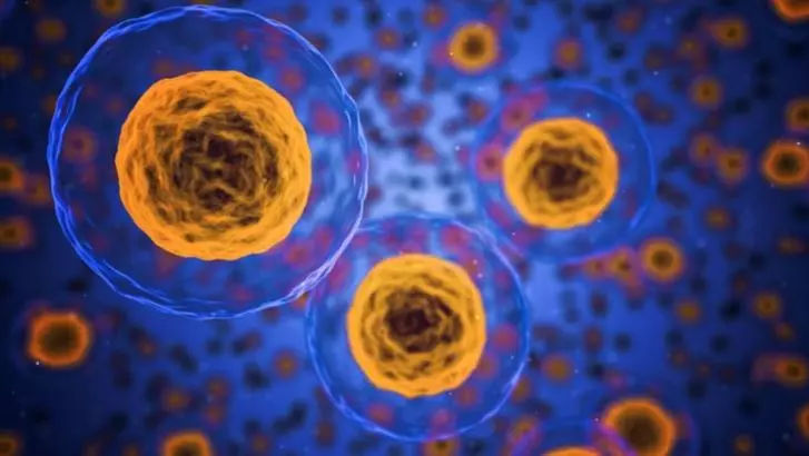 Alimentele care te protejează de cancer. Trebuie incluse în dieta ta