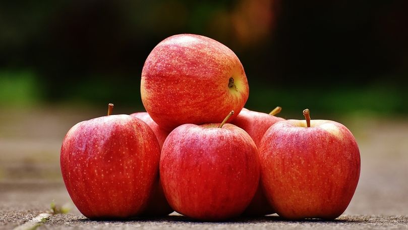 Republica Moldova va importa mere din Polonia și Ucraina