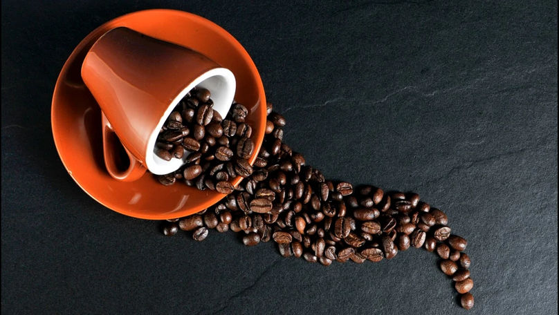 De ce trebuie să pui zaț de cafea la flori? Plantele îți vor mulțumi
