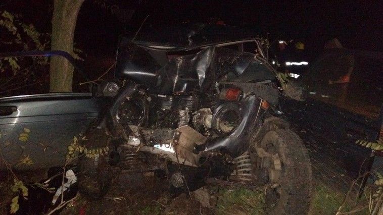 В Леовском районе ВАЗ врезался в дерево, погиб водитель.