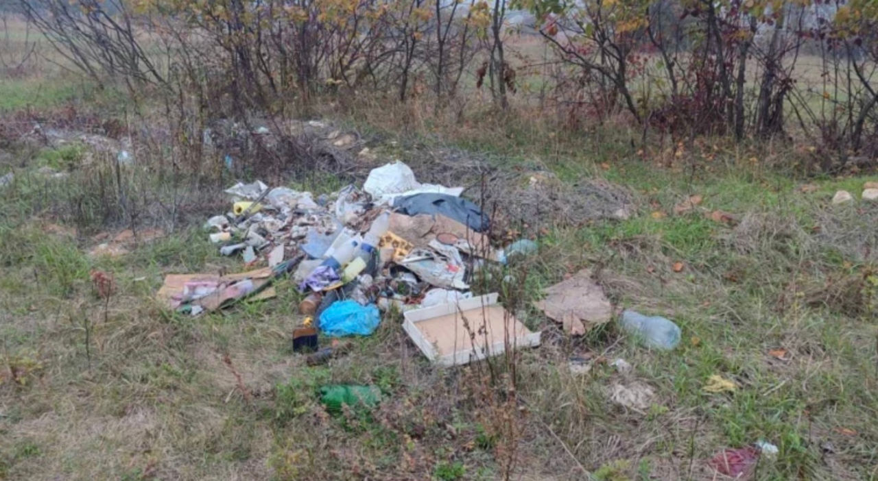 В одном из сёл Шолданештского района обнаружена несанкционированная свалка.