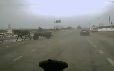 В Молдове повозка с лошадью едва не спровоцировала ДТП.