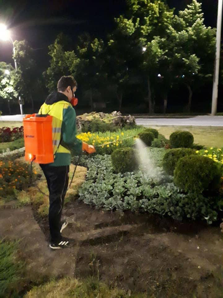 В Кишиневе продолжается обработка зеленых насаждений в парках против клещей.