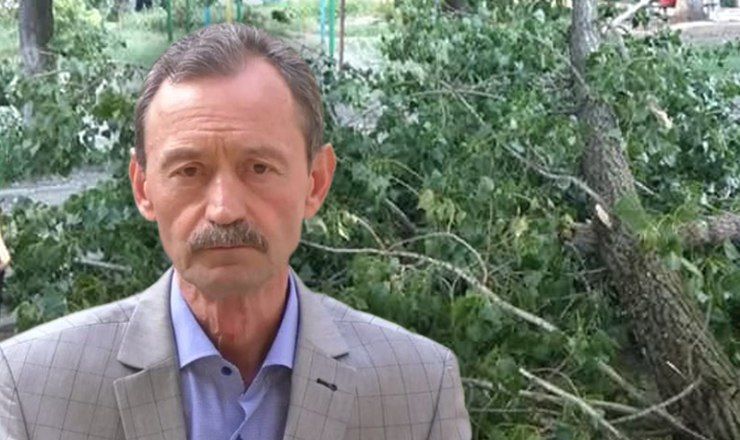 В "Зеленом хозяйстве" заявляют, что тополь, который упал на мужчину на Рышкановке, был здоровым.