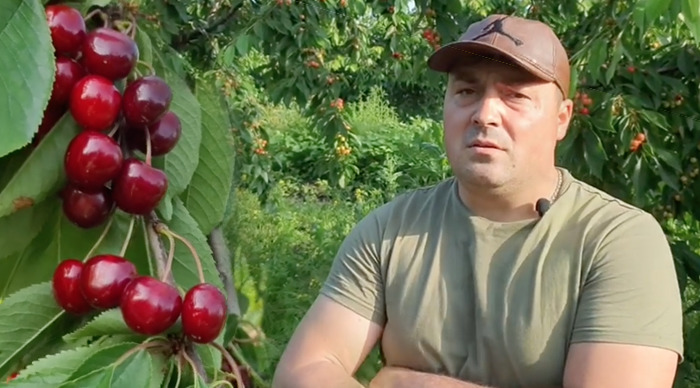 Фермер: В супермаркете мне сказали, что моя продукция их не интересует. Point.md