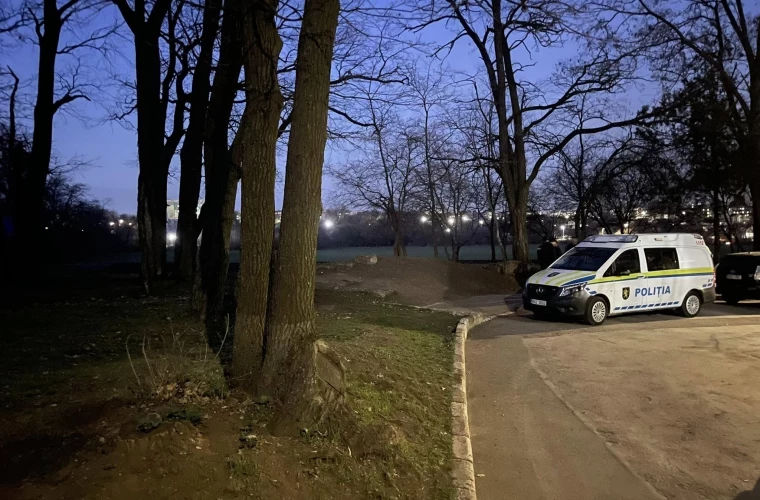 В Бельцах в лесополосе обнаружили гранату.