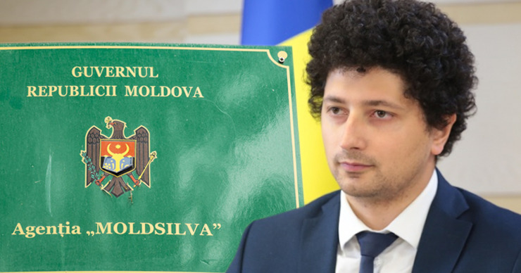Moldsilva отвергает обвинения Мариана и заявляет, что на Агентство оказывают давление. Коллаж: Point.md