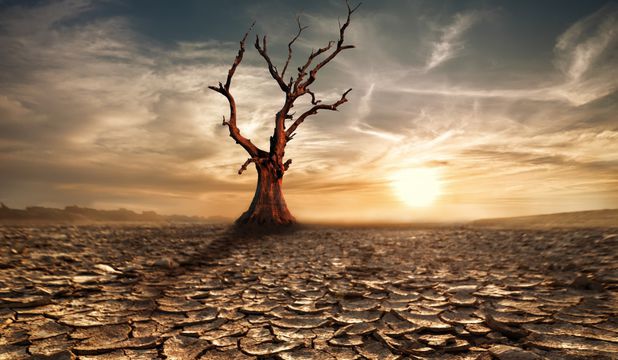 Seceta fără precedent şi restricţiile privind consumul de apă din California arată că "schimbarea climatică nu este o farsă", a declarat duminică guvernatorul acestui stat american, Jerry Brown.