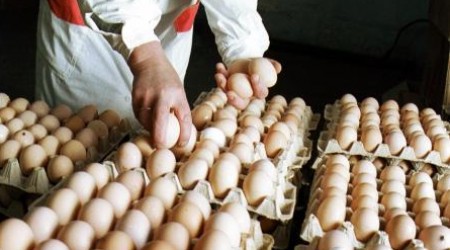 Цены на молдавские яйца во многом зависят от дороговизны кормов, а также от скачка курса валют.