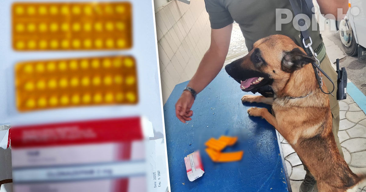Pastile cu efect psihotrop, depistate de câinele de serviciu la vama Costești.