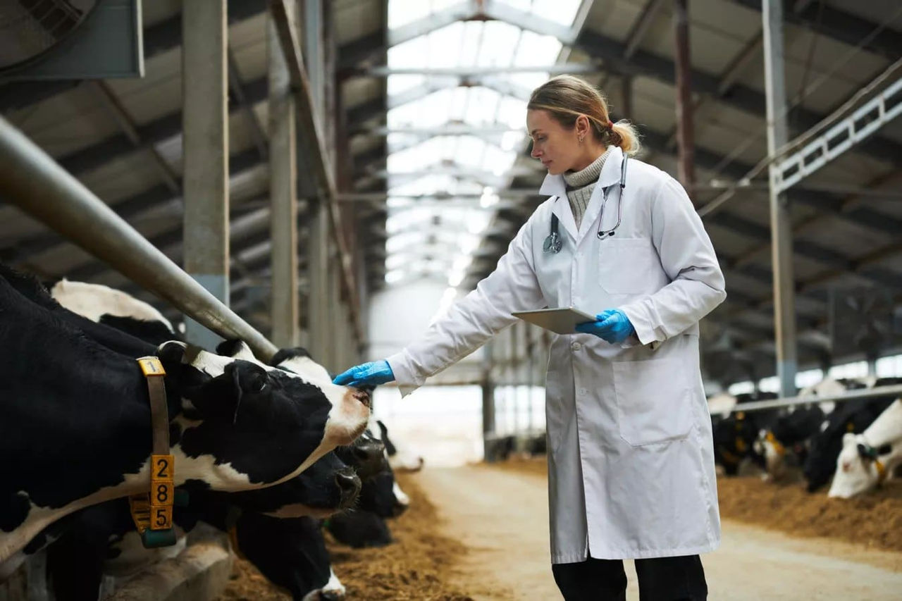 Moldova se confruntă cu o criză de medici veterinari: Un deficit de 200–300 de specialiști.