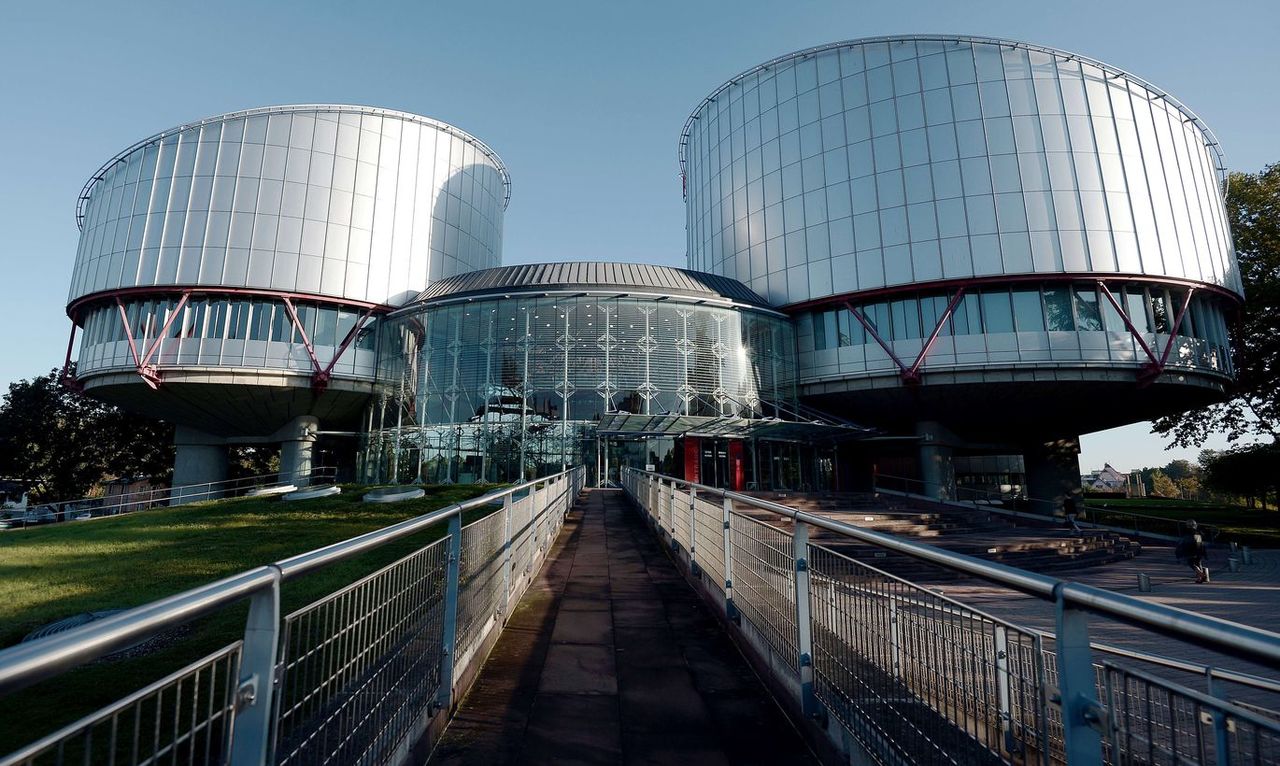 Нидерланды планируют представить в ЕСПЧ новую информацию по делу MH-17.