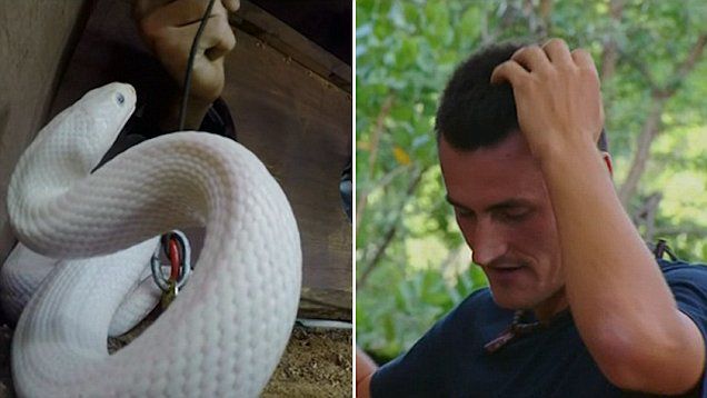 Tenismen, muşcat de un şarpe în cadrul unei emisiuni TV. Foto: rtv.net