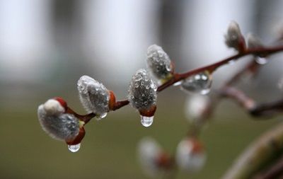 Такая же тёплая погода ждёт жителей Молдовы и в первые дни следующей недели.