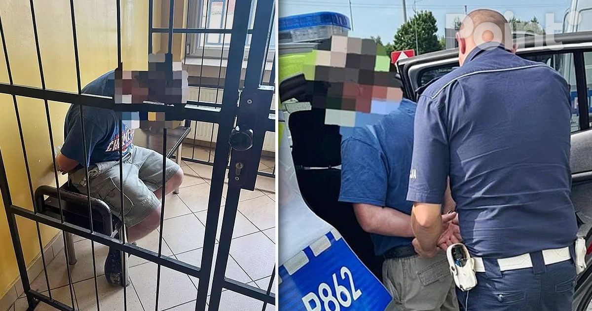 Un moldovean, urmărit de Interpol pentru infracțiuni sexuale, prins după un control de trafic în Polonia.