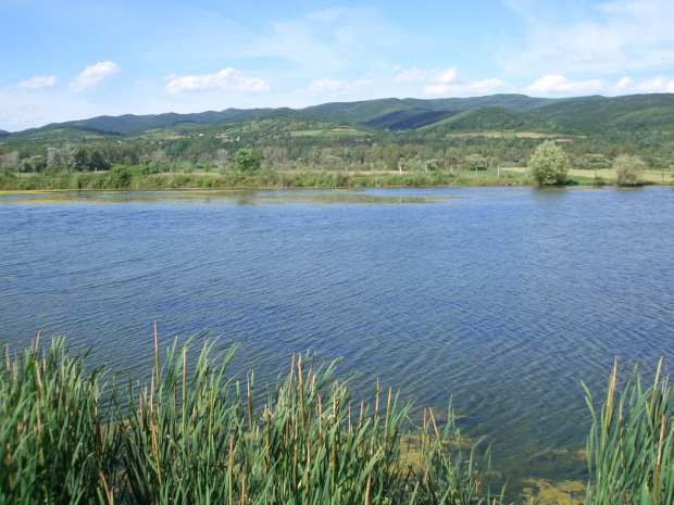 Inculpatul a fost condamnat la șatpte ani de închisoare. Foto: realitatea.md